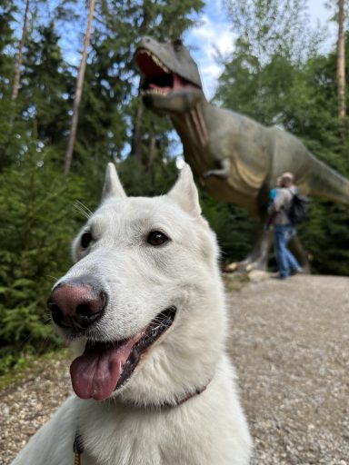 Buddy im Dinopark