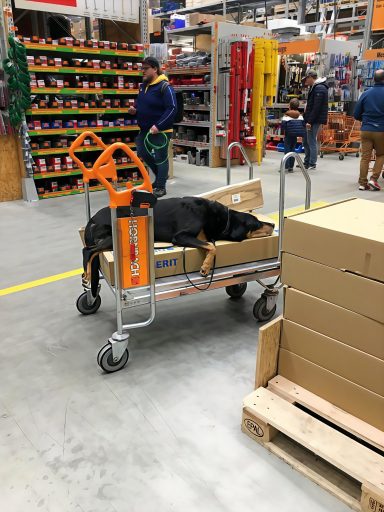 Tiefenentspannt im Baumarkt