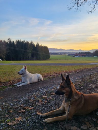 Social Walk Königsdorf
