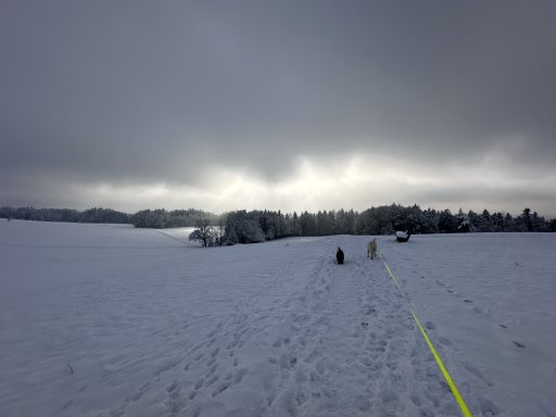Spazieren Peretshofener Höhe