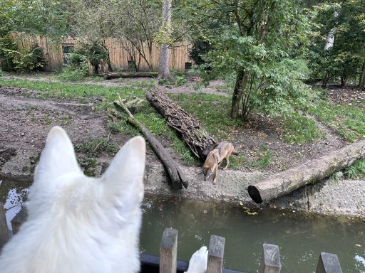 Ausflug Tierpark Hellabrunn