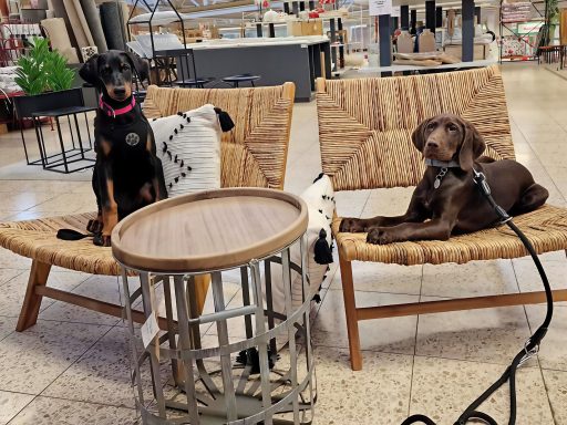 Gemeinsam neues Kennenlernen