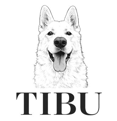 TIBU Logo