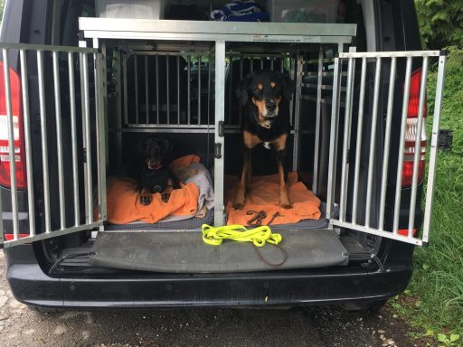 Türen auf und nichts passiert