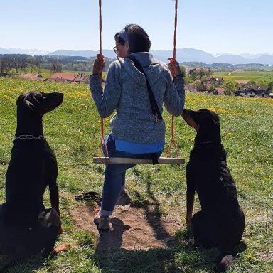 Schaukeln mit Security