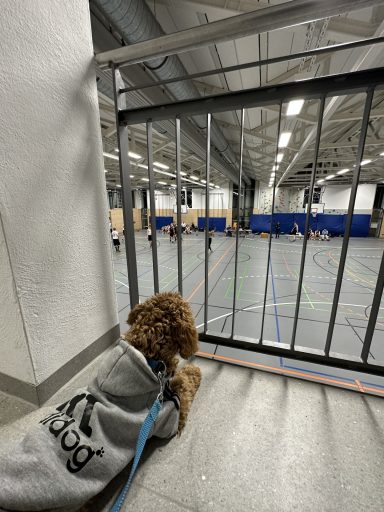 Einzeltraining Sporthalle