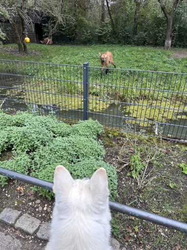 Ausflug Tierpark Hellabrunn